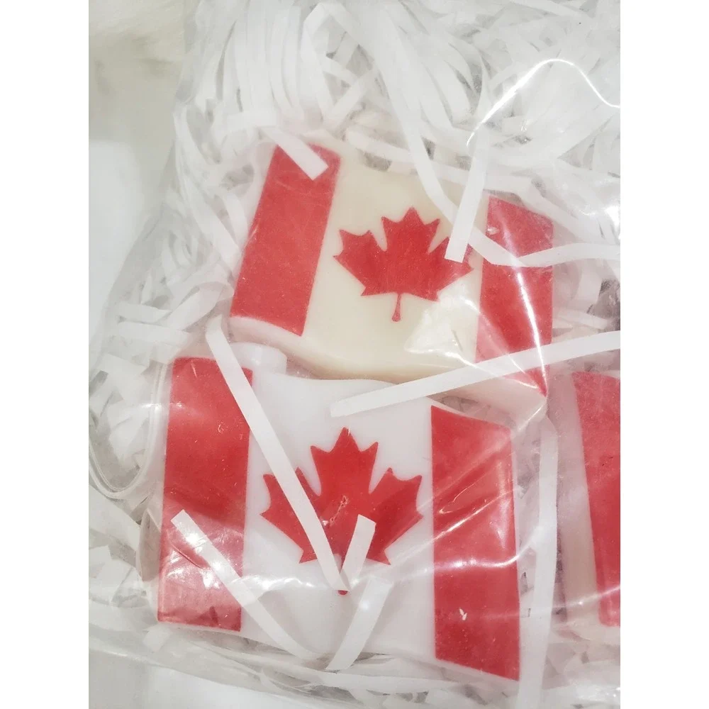 NEW Vintage Canada Canadian STRING LIGHTS‎ light up porch decor party